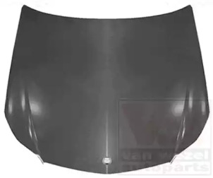 VAN WEZEL 2942660 -  Капот двигателя